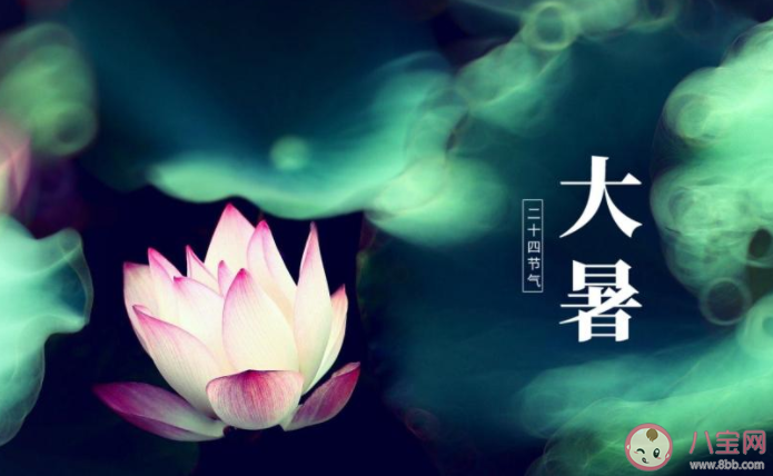 2022大暑節(jié)氣活動(dòng)報(bào)道美篇 2022大暑節(jié)氣主題活動(dòng)簡(jiǎn)報(bào) 2022大暑節(jié)氣活動(dòng)報(bào)道美篇 2022大暑節(jié)氣主題活動(dòng)簡(jiǎn)報(bào)