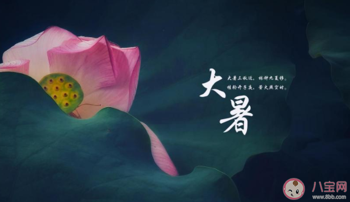 2022大暑節(jié)氣活動(dòng)報(bào)道美篇 2022大暑節(jié)氣主題活動(dòng)簡(jiǎn)報(bào) 2022大暑節(jié)氣活動(dòng)報(bào)道美篇 2022大暑節(jié)氣主題活動(dòng)簡(jiǎn)報(bào)