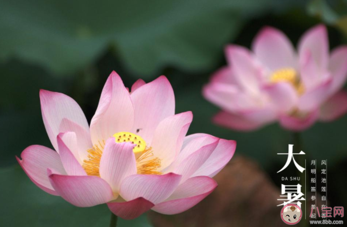 2022大暑節(jié)氣活動(dòng)報(bào)道美篇 2022大暑節(jié)氣主題活動(dòng)簡(jiǎn)報(bào) 2022大暑節(jié)氣活動(dòng)報(bào)道美篇 2022大暑節(jié)氣主題活動(dòng)簡(jiǎn)報(bào)