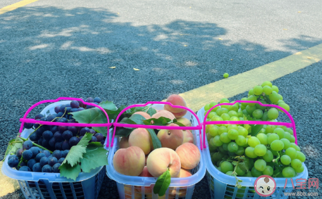 你所期待的夏天是什么模樣 想象中的夏天是怎樣的