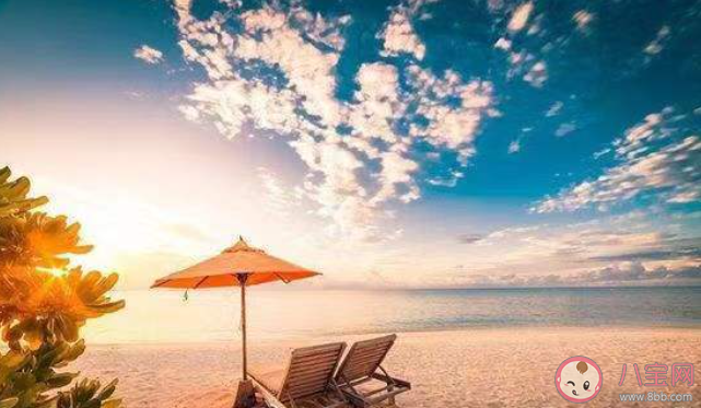 你所期待的夏天是什么模樣 想象中的夏天是怎樣的