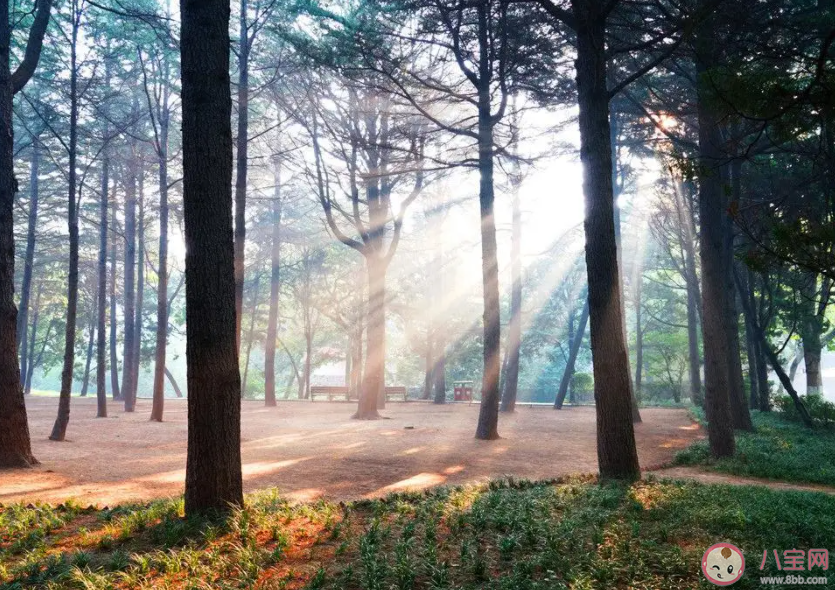 什么是丁達爾現象 丁達爾效應有什么用