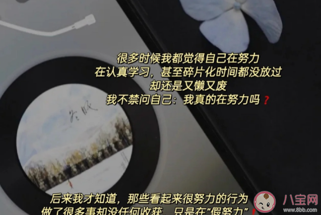 怎么看待生活中的假努力 為什么很多人都是假努力