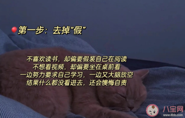 怎么看待生活中的假努力 為什么很多人都是假努力