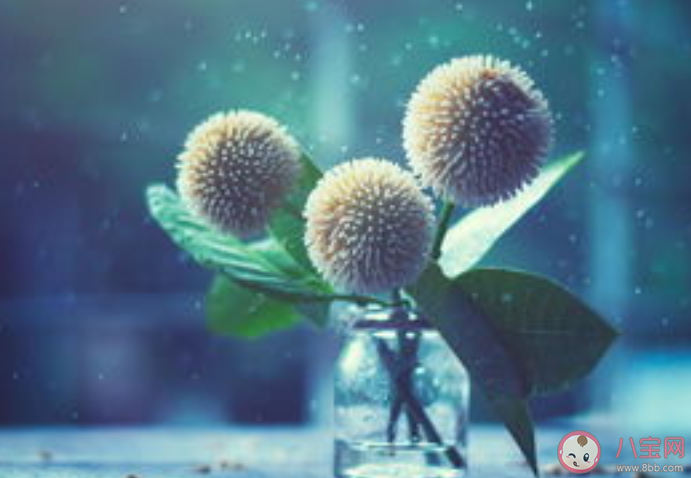 有哪些畢業(yè)后才知道的人生真相 畢業(yè)后的人生感悟 有哪些畢業(yè)后才知道的人生真相 畢業(yè)后的人生感悟