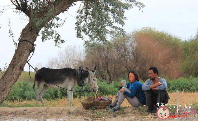 《隱入塵煙》是治愈系電影嗎 《隱入塵煙》講的是什么故事 《隱入塵煙》是治愈系電影嗎 《隱入塵煙》講的是什么故事