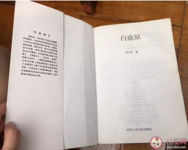 盜版書重金屬含量高可能會影響兒童大腦發育 盜版書有哪些危害
