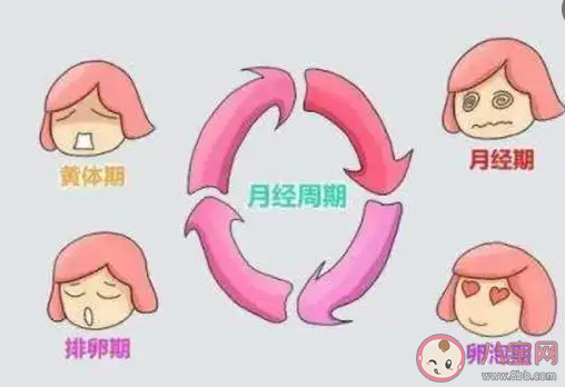 女性排卵障礙可以做試管嬰兒嗎 做試管嬰兒之前要做哪些準備