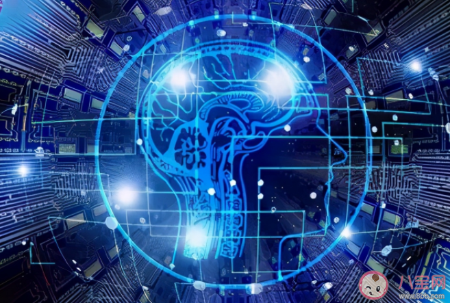 怎樣避免活在信息繭房之中 為什么要避免信息繭房