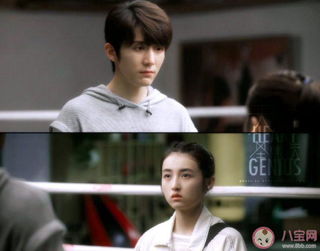 《天才基本法》裴之是穿越的嗎 《天才基本法》人物關(guān)系圖