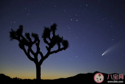 人為什么看見流星就想許愿 對流星許愿真的有用嗎