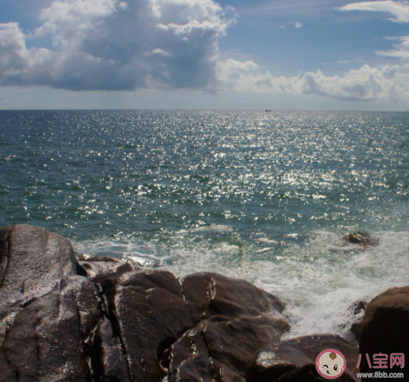海南三亞為什么被稱為東北城市 為什么東北人都愛去海南 海南三亞為什么被稱為東北城市 為什么東北人都愛去海南