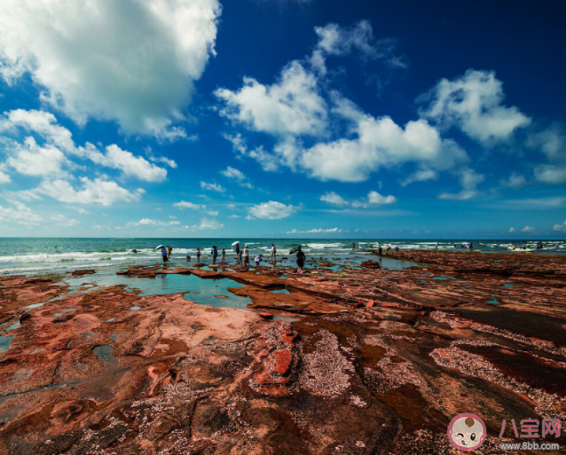海南三亞為什么被稱為東北城市 為什么東北人都愛去海南 海南三亞為什么被稱為東北城市 為什么東北人都愛去海南