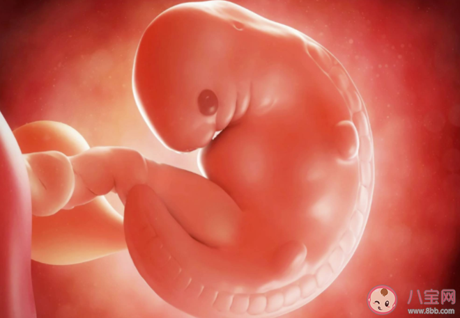 胎兒會感覺孤單嗎 胎兒最喜歡在孕婦肚子里做什么