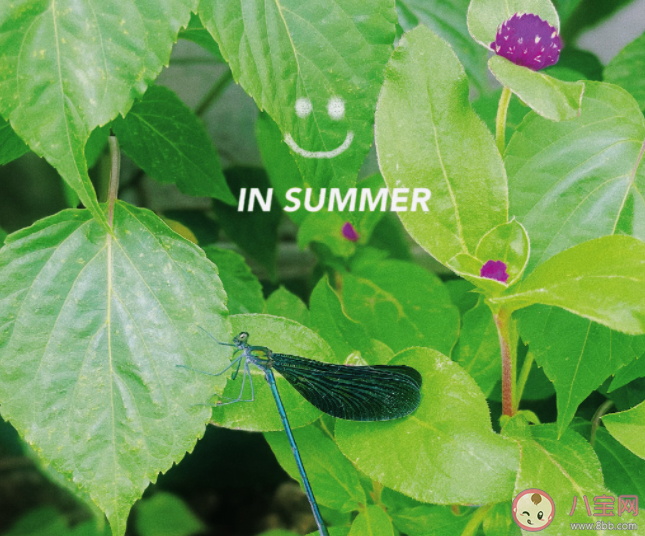 為什么休息比上班還累 休息日該怎么度過