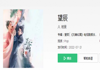楊紫人物主題曲《望辰》歌詞是什么 《望辰》完整版歌詞在線聽歌