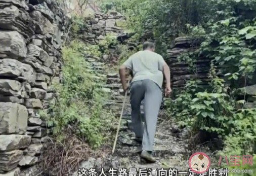 二舅治愈的是什么 為什么二舅火了