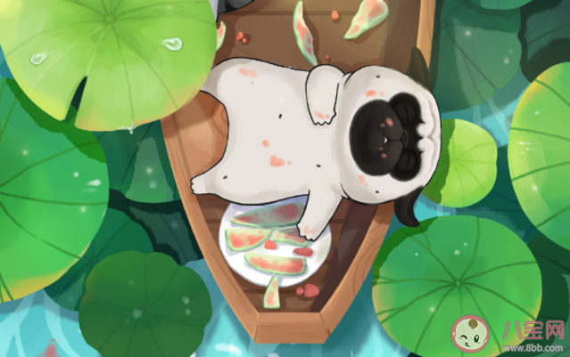 晚上睡不著可以白天補覺嗎 白天補覺到底好不好 晚上睡不著可以白天補覺嗎 白天補覺到底好不好