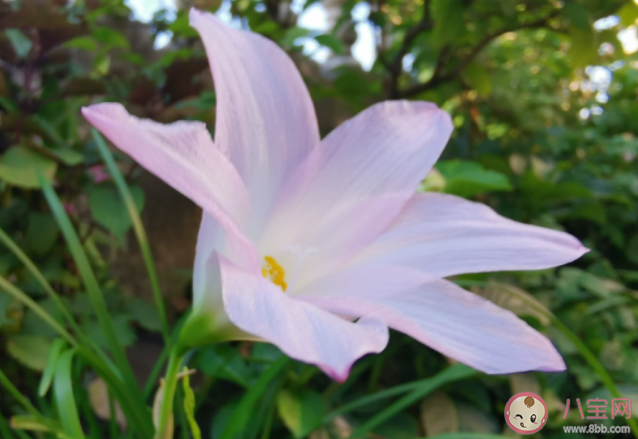 為什么夏天容易睡不好 夏天睡不好怎么辦 為什么夏天容易睡不好 夏天睡不好怎么辦
