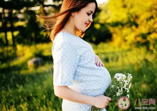 職場女性如何平衡懷孕和工作 女性工作和懷孕怎么選 職場女性如何平衡懷孕和工作 女性工作和懷孕怎么選