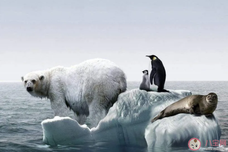 極端高溫天氣的出現會有哪些影響 全球變暖的原因是什么