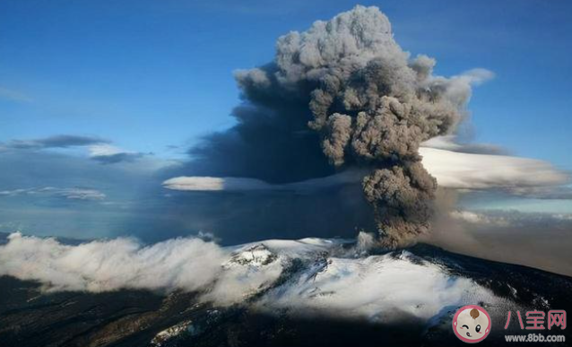 極端高溫天氣的出現會有哪些影響 全球變暖的原因是什么