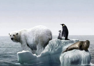 極端高溫天氣的出現會有哪些影響 全球變暖的原因是什么