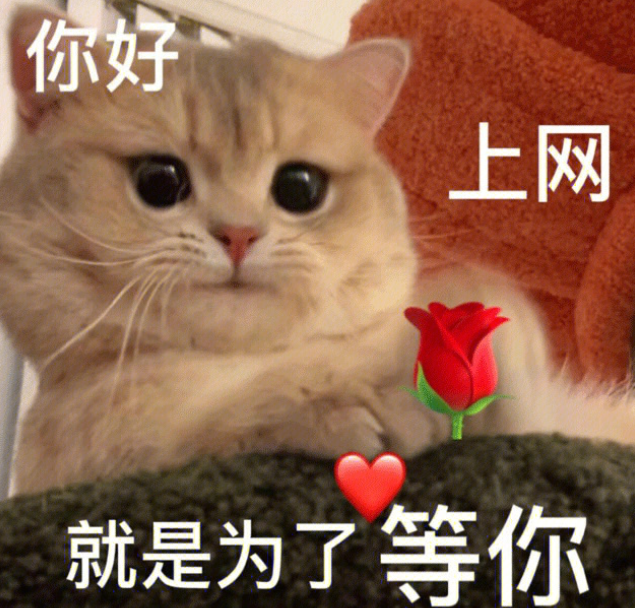 有哪些令人印象深刻的副cp 哪些小說的副cp讓你難忘 有哪些令人印象深刻的副cp 哪些小說的副cp讓你難忘