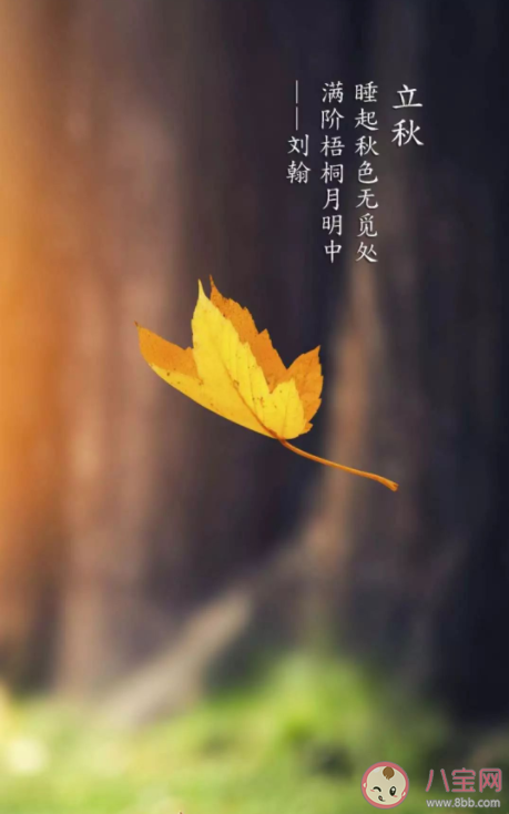 2022年有秋老虎嗎 閉眼秋是什么意思