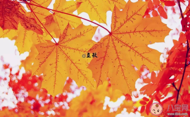 2022年有秋老虎嗎 閉眼秋是什么意思