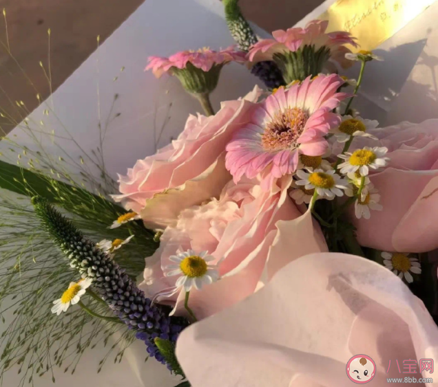 好的感情包含哪些特點 什么樣的感情才是好的