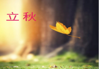 立秋早安動態問候語說說 立秋節氣早安發朋友圈正能量語錄