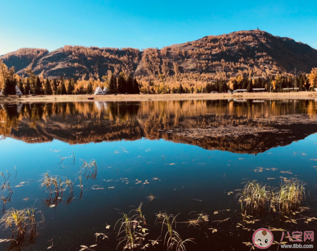 爆火的新疆旅游值得去嗎 新疆旅游什么時候去合適