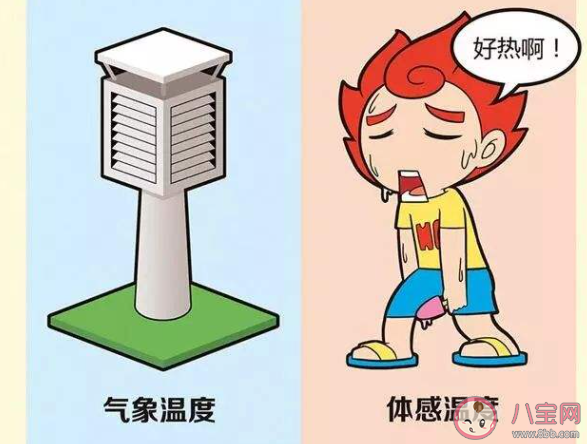 體感溫度和實(shí)測溫度為什么存在溫差 兩者之間溫差有多大 體感溫度和實(shí)測溫度為什么存在溫差 兩者之間溫差有多大