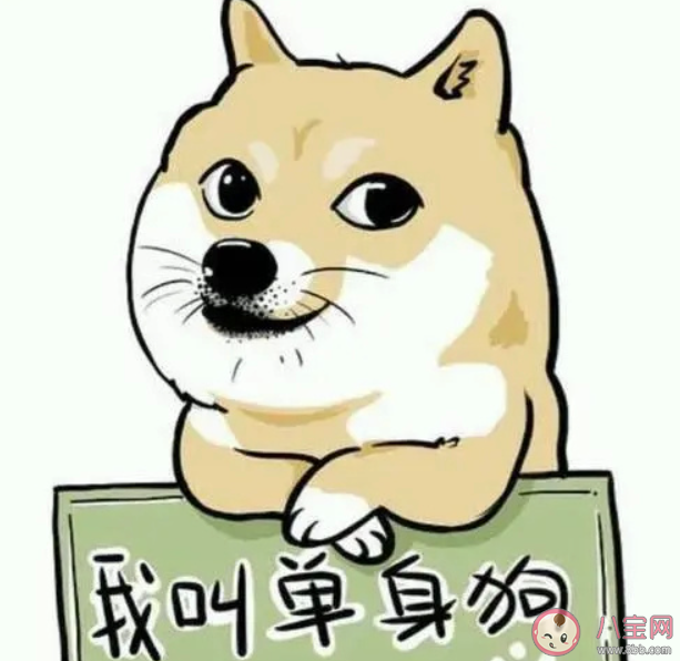 單身久了會傷身嗎 長期單身的危害有哪些 單身久了會傷身嗎 長期單身的危害有哪些