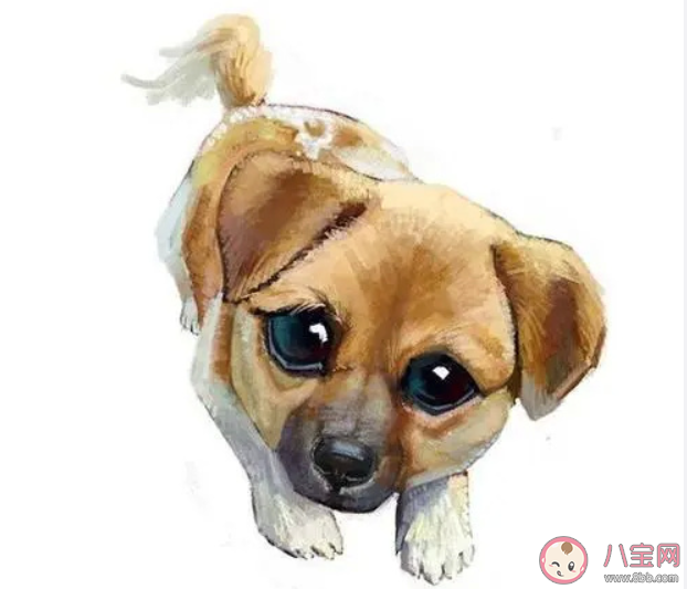 單身久了會傷身嗎 長期單身的危害有哪些 單身久了會傷身嗎 長期單身的危害有哪些