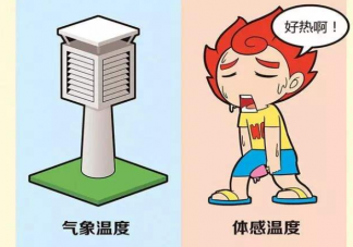 體感溫度和實測溫度為什么存在溫差 兩者之間溫差有多大