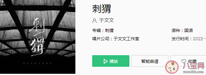 于文文新歌《刺猬》歌詞是什么 《刺猬》完整版歌詞內容 于文文新歌《刺猬》歌詞是什么 《刺猬》完整版歌詞內容