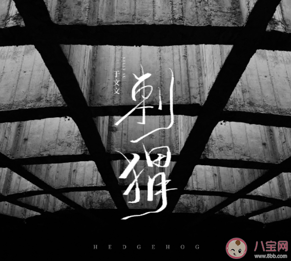 于文文新歌《刺猬》歌詞是什么 《刺猬》完整版歌詞內容