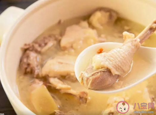 熬雞湯要選用什么樣的雞 雞湯一般需要熬制多久