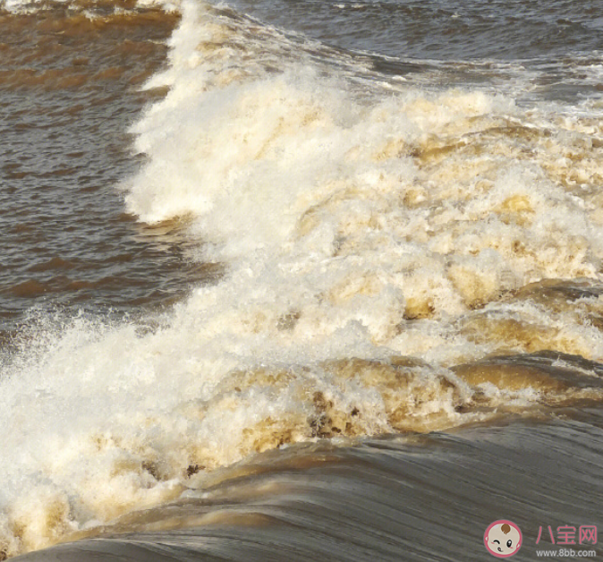 錢塘江魚鱗潮是如何形成的 觀潮安全小貼士