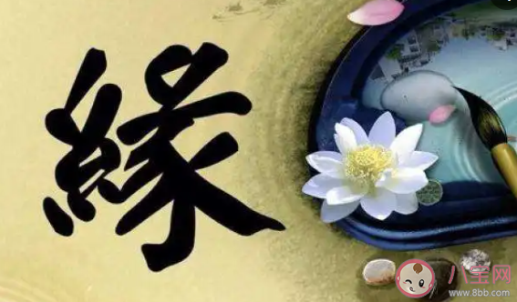 緣分可以量化嗎 你還相信緣分嗎 緣分可以量化嗎 你還相信緣分嗎