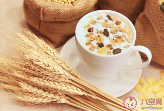 燕麥是一種什么樣的食物 燕麥與小麥相比哪種更健康