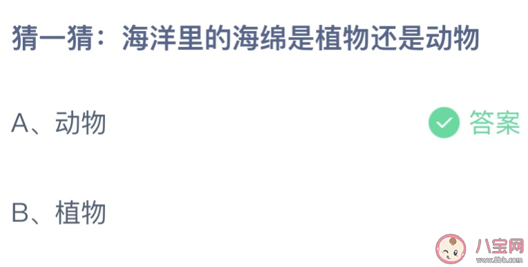 螞蟻莊園海綿是植物還是動物 小課堂8月11日答案介紹