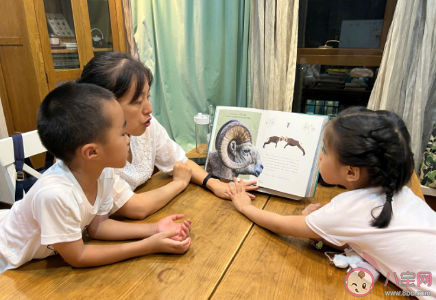 雞娃會不會害了孩子 怎樣看待雞娃教育