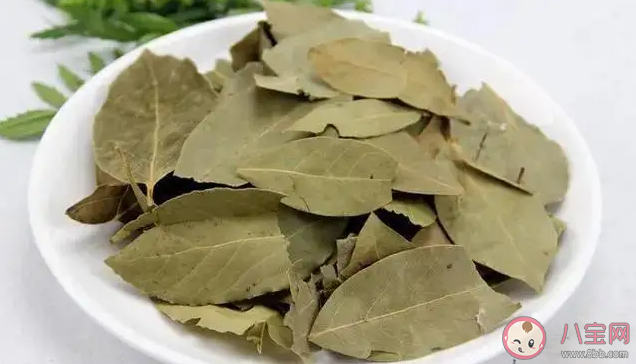 香葉其實是哪種樹的葉子 螞蟻莊園8月12日答案解析 香葉其實是哪種樹的葉子 螞蟻莊園8月12日答案解析