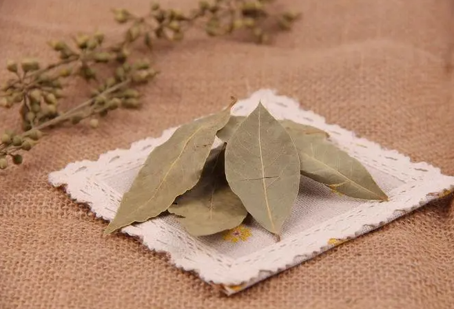 烹飪美食常用的香葉是哪種樹的葉子 螞蟻莊園8月12日答案最新