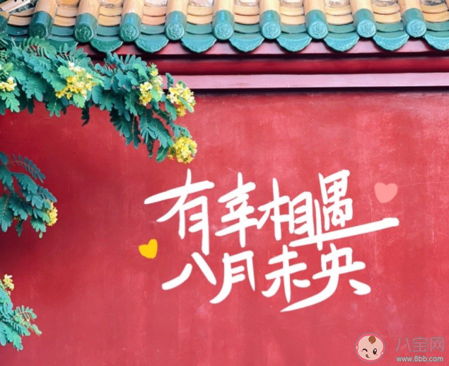 該不該支持單身父母去相親 你會同意父母去相親嗎