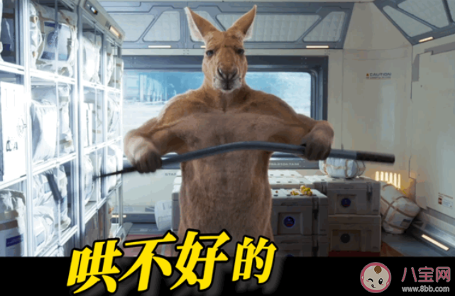 《獨(dú)行月球》為什么帶不活電影院 《獨(dú)行月球》不好看嗎