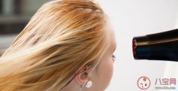 為了護發洗完頭后需要盡快高溫吹干嗎 螞蟻莊園8月13日答案最新